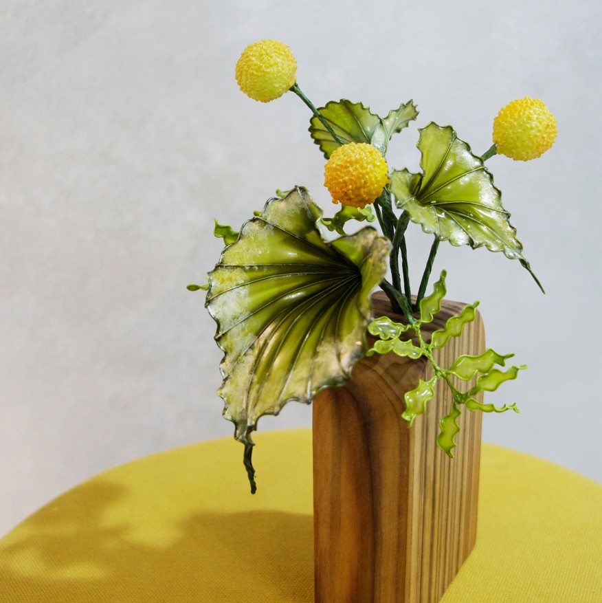 彩葉金仗球小盆